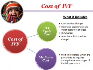 IVF Cost